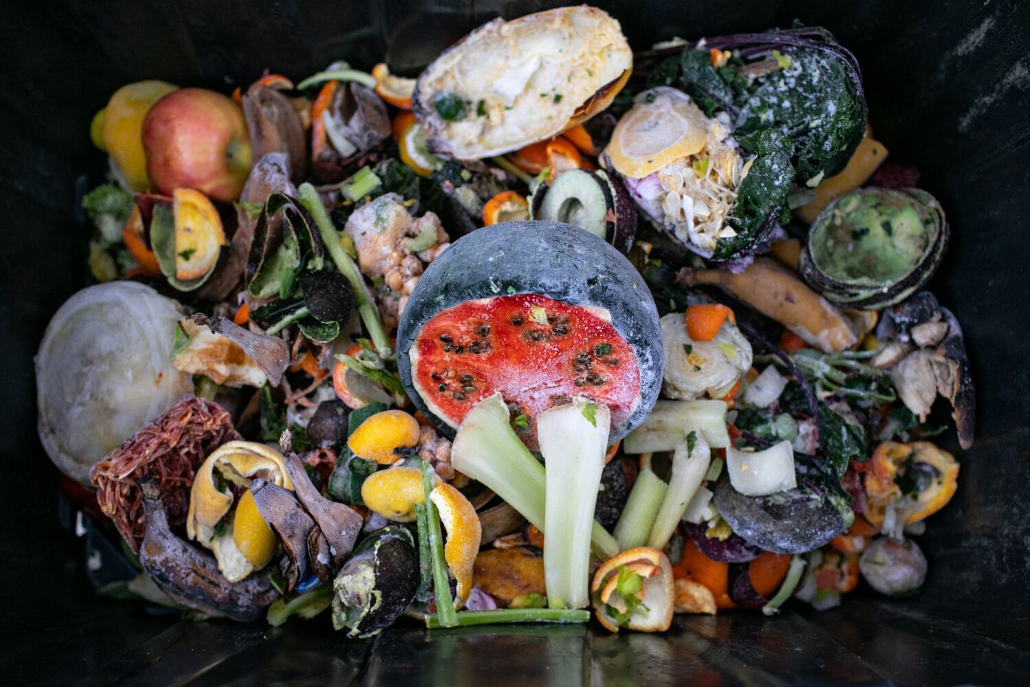 L.A. now picks up your compostable food scraps. Here's what you have to do